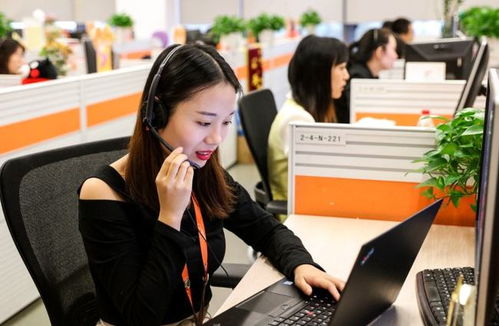 6類適合“老實人”的工作 在信息咨詢服務領域，找到人際關系簡單、工資高又能做長久的職業港灣