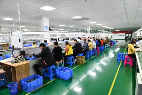 威海 國內超八成無刷電機，南海制造背后的信息咨詢服務支撐